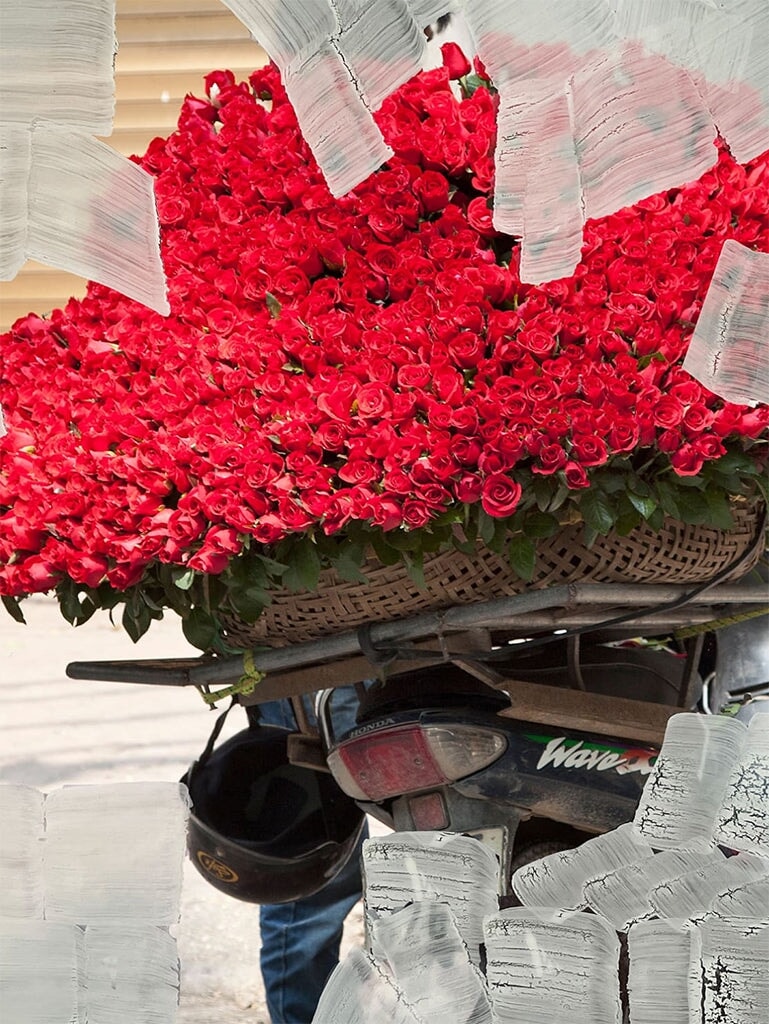 Eau de parfum rose noir 3