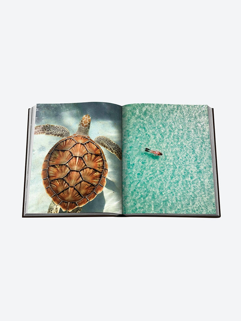 Vibrations de la Jamaïque 4