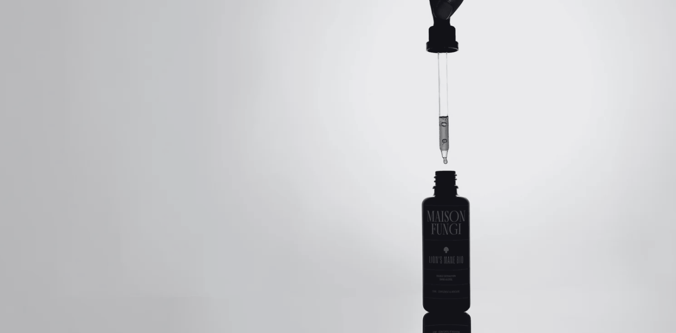 MAISON FUNGI