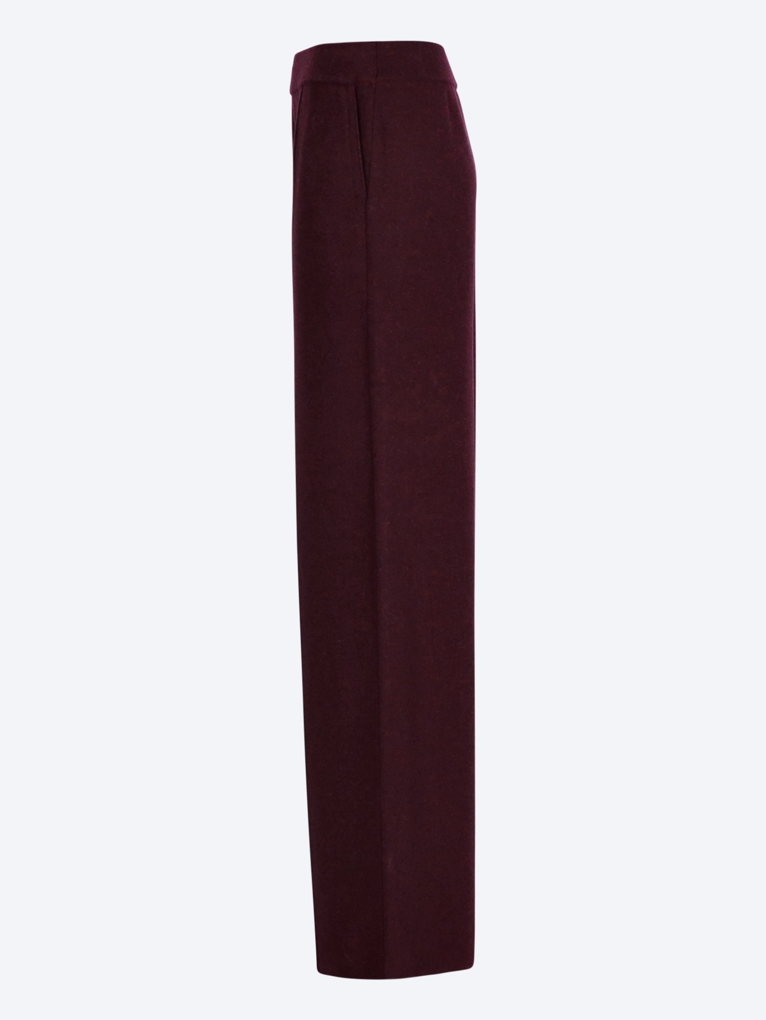 Dion pants 2