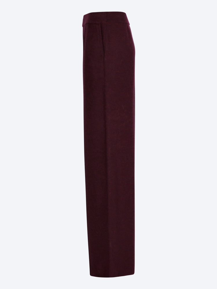 Dion pants 2