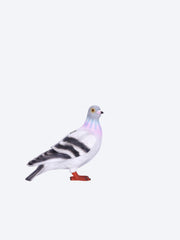 Pigeon clutch ref: