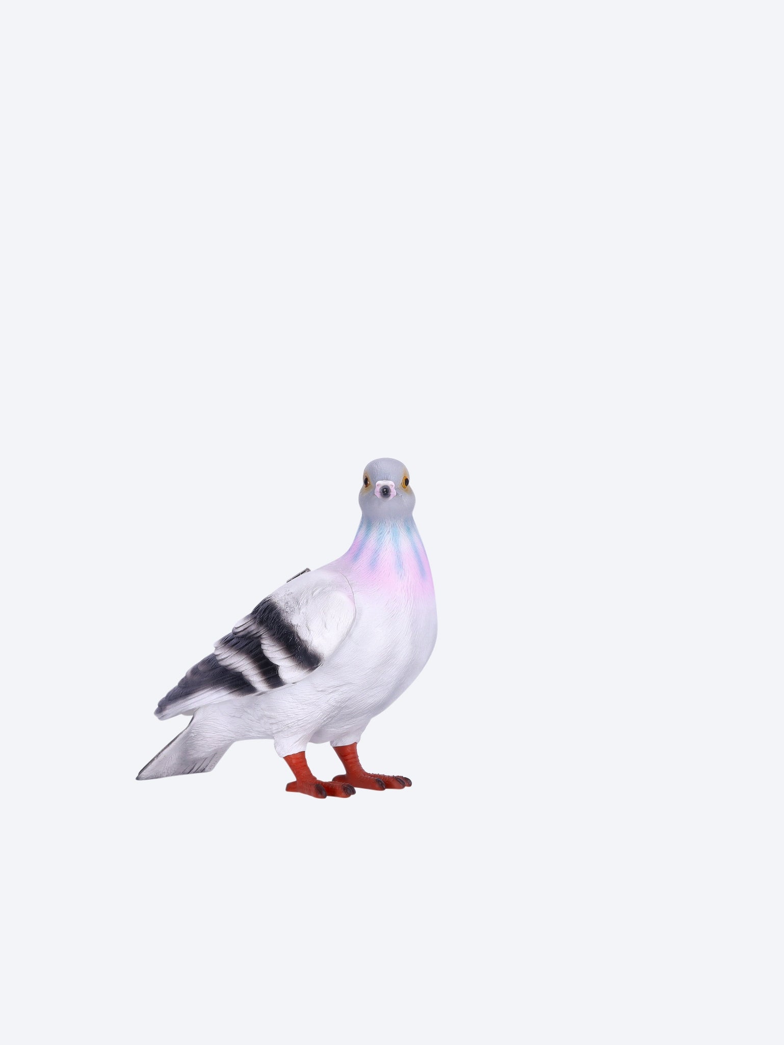 Pigeon clutch 2