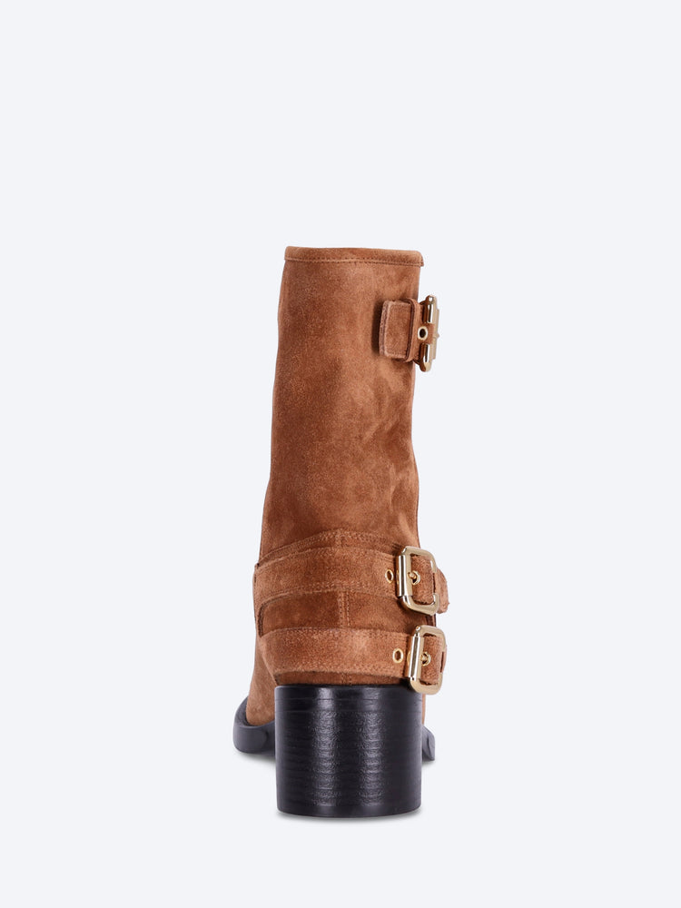 Dakota ankle boots 5
