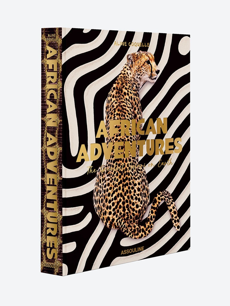 Aventures africaines: la plus grande SA 3