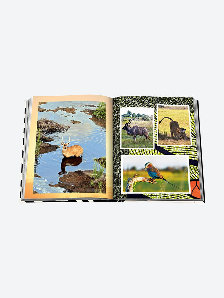 Aventures africaines: la plus grande SA 12