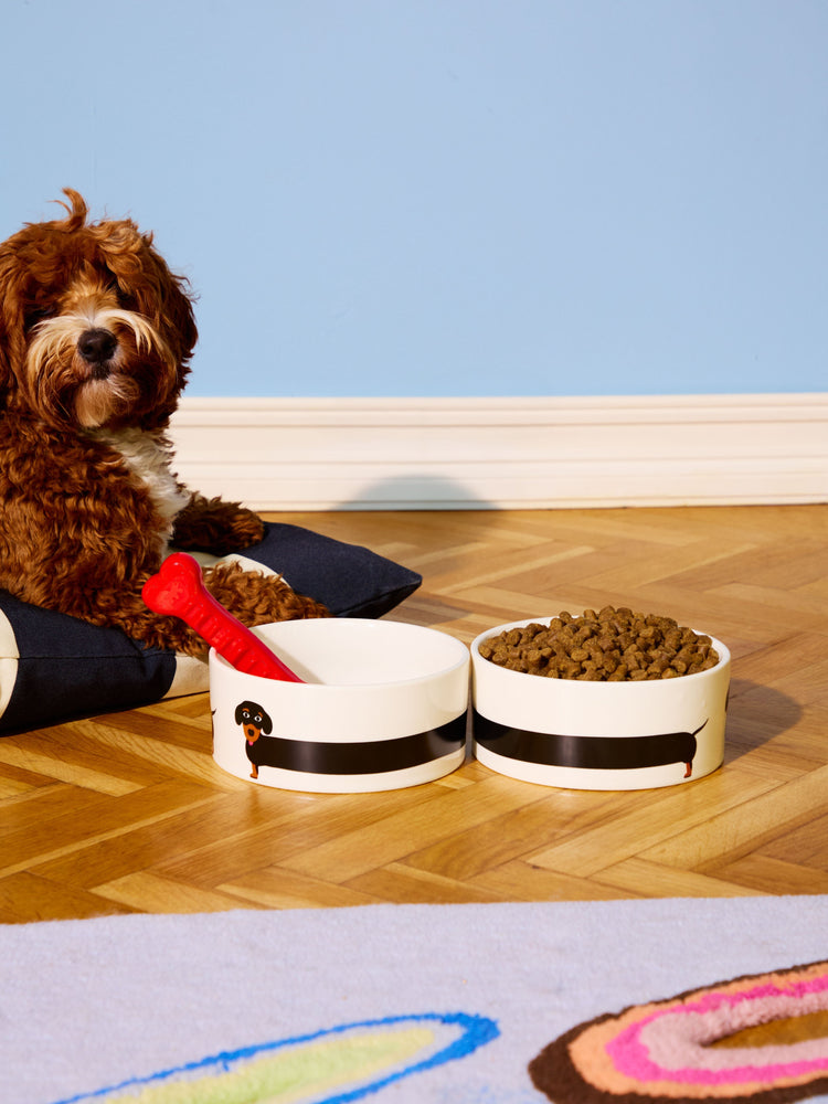 Schüsselhund 3