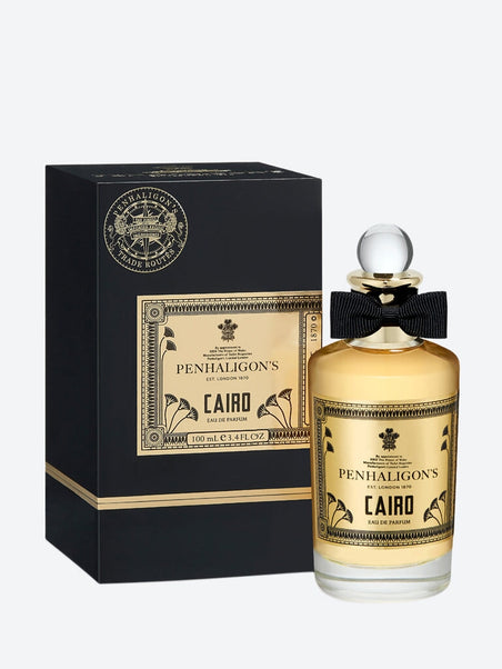 Caire EDP