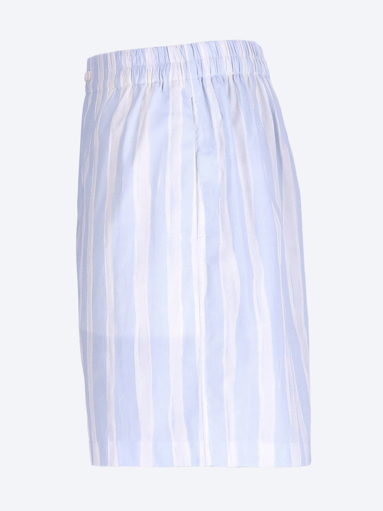 Calecon shorts 2
