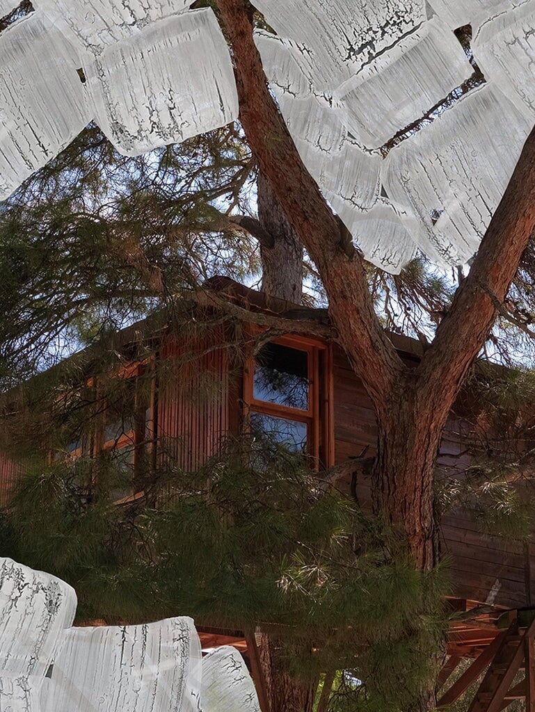 Bougie cabane dans les arbres 240g 3