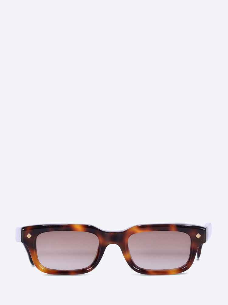 Carlton sunglasses 1