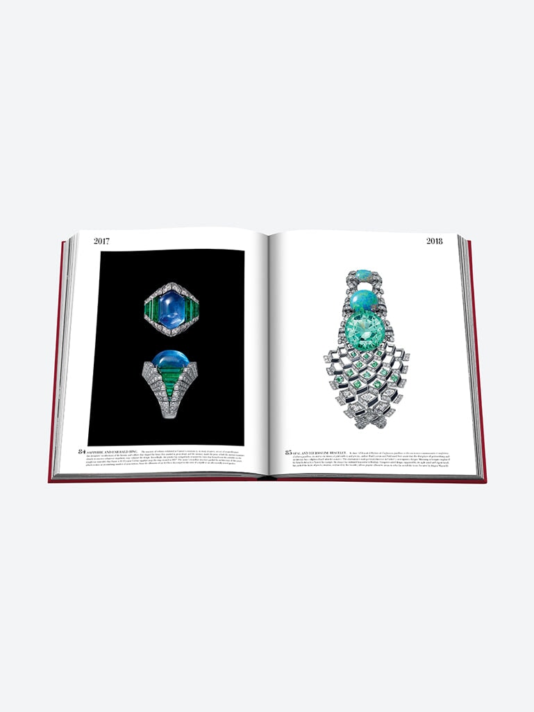 Cartier - la collection impossible 16