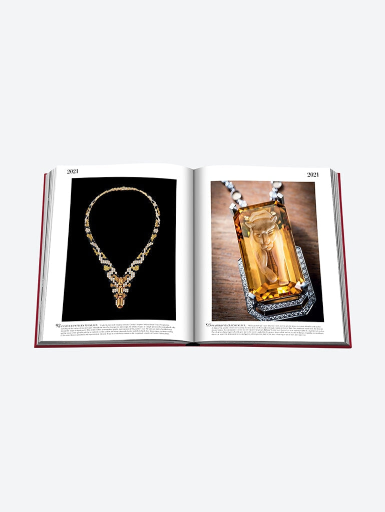 Cartier - la collection impossible 7