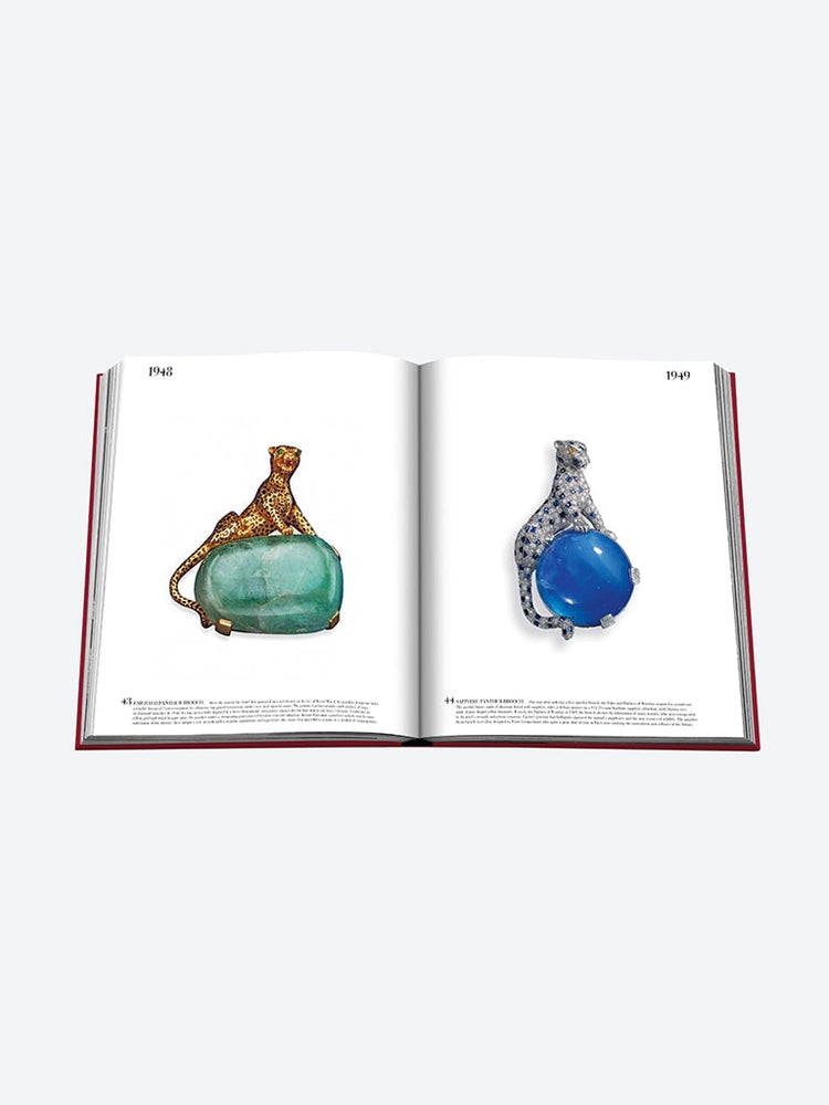 Cartier - la collection impossible 13