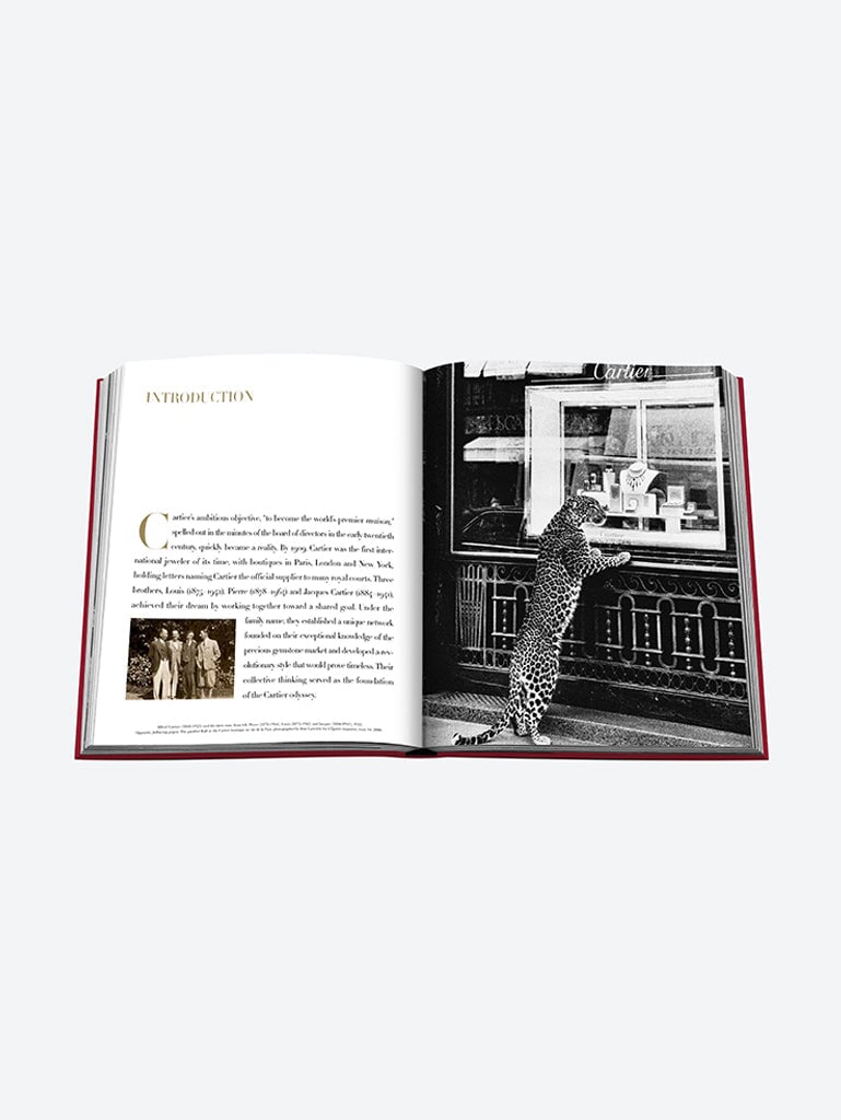 Cartier - la collection impossible 9