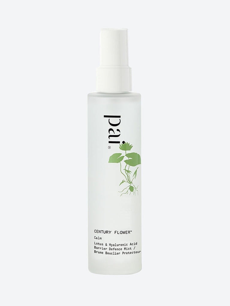 Century flower 100ml 1