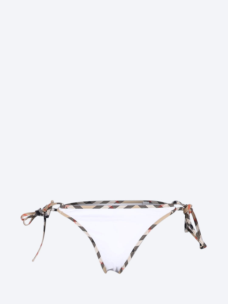 Check bikini briefs 1