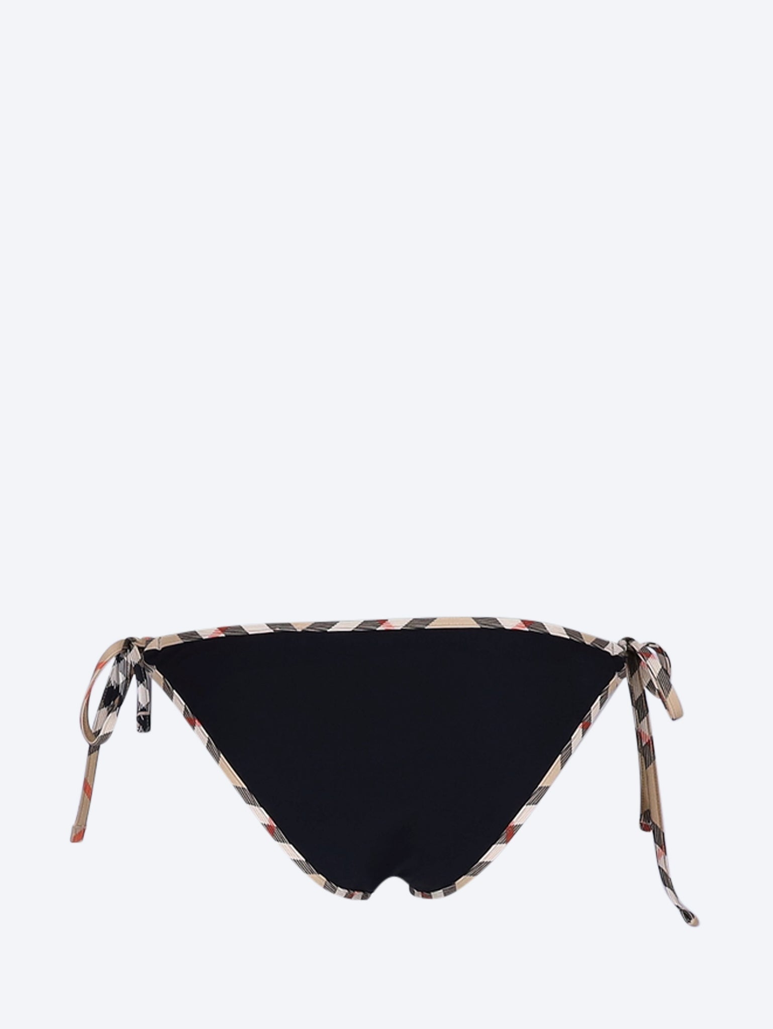 Check bikini briefs 2