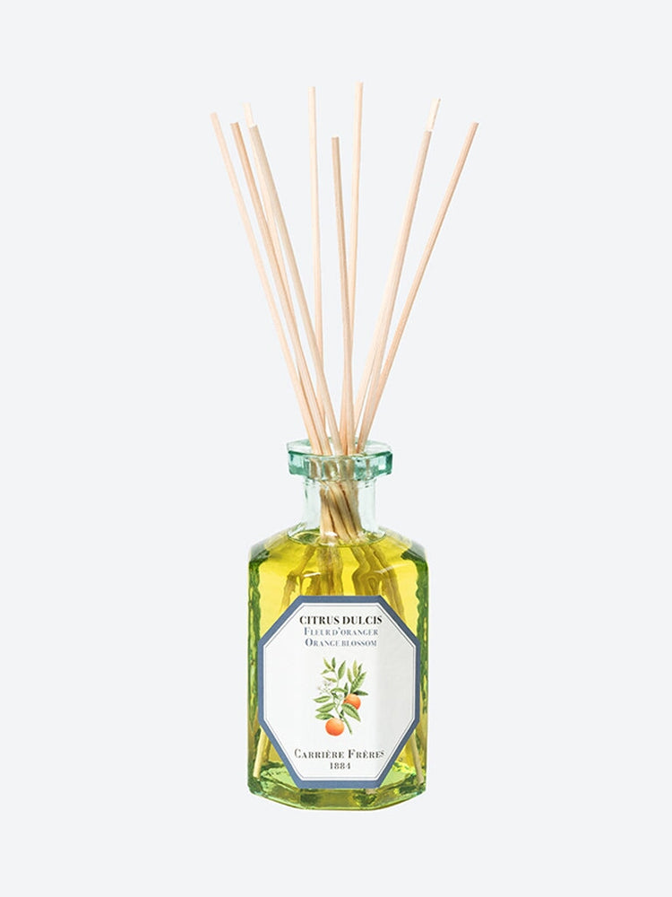 Citrus dulcis Orange Blossom Diffuseur 1