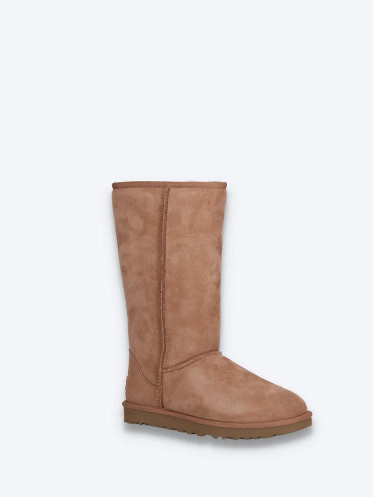 Bottes classiques Tall II 2