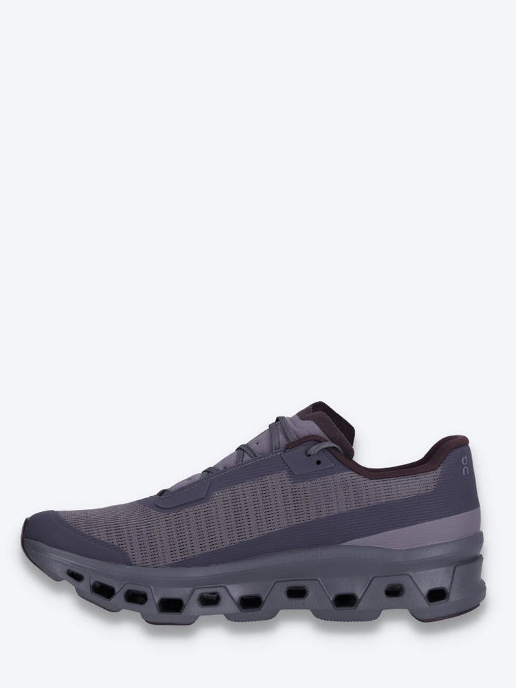 baskets Cloudmonster vides 4