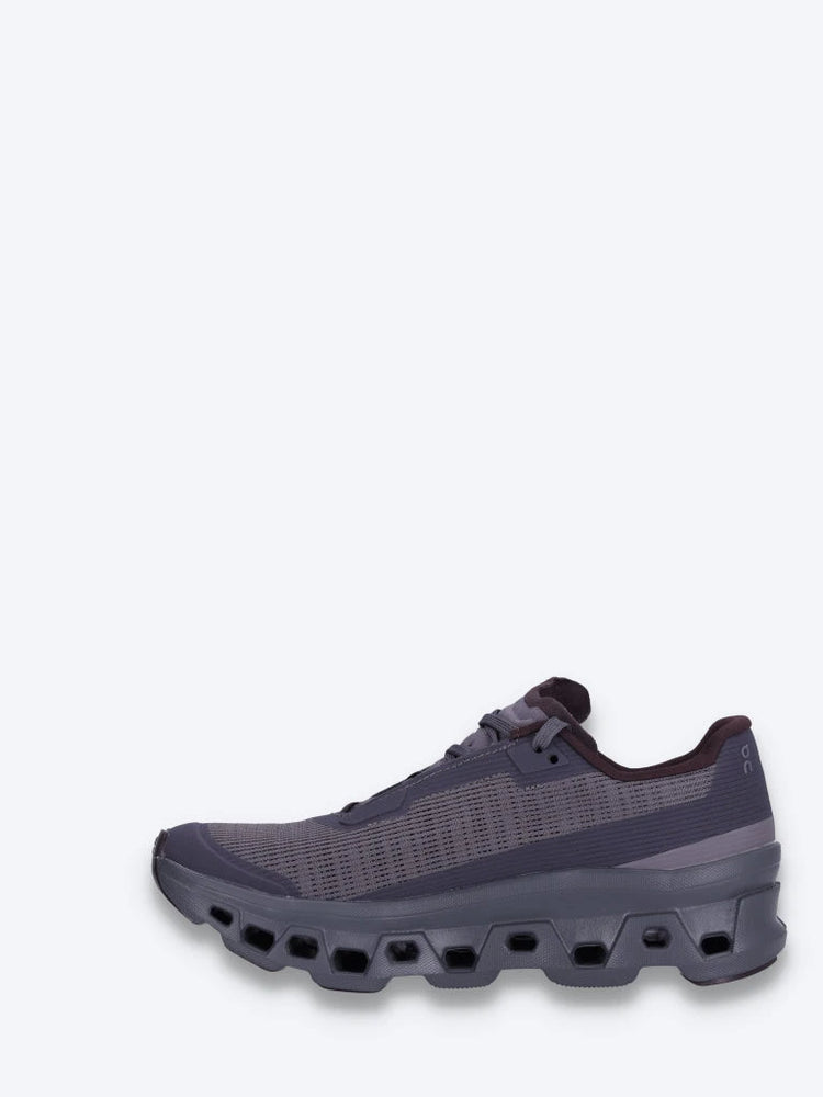 baskets Cloudmonster vides 4