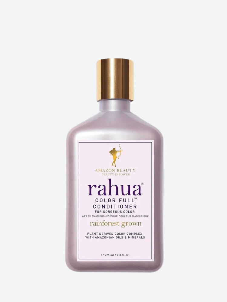 Farbvoller Conditioner 1