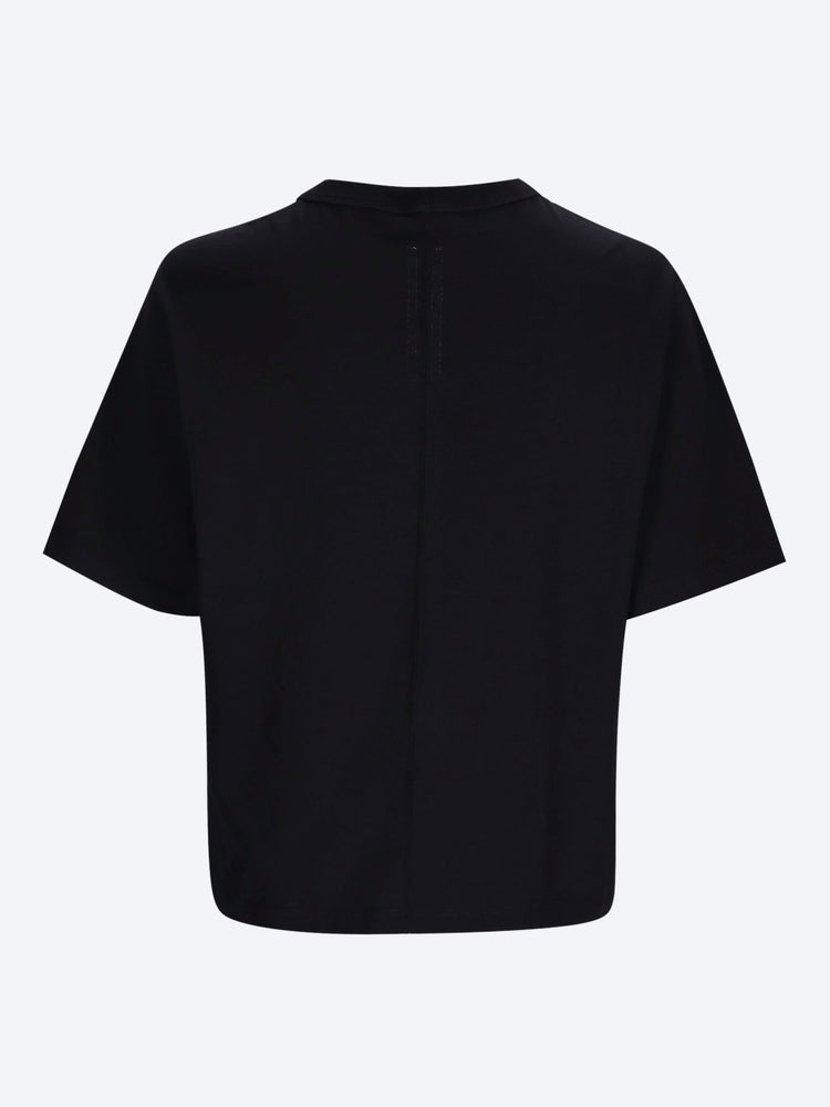 Cropped brad t-shirt 2