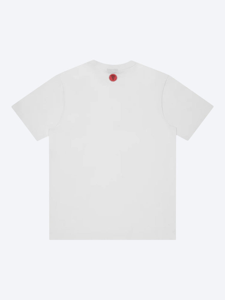 T-shirt pour chien qui court en cristal 2