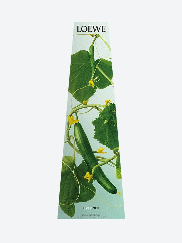 Cucumber wax candleholder 2
