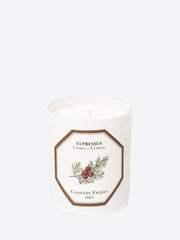 Cupressus cypress candle ref: