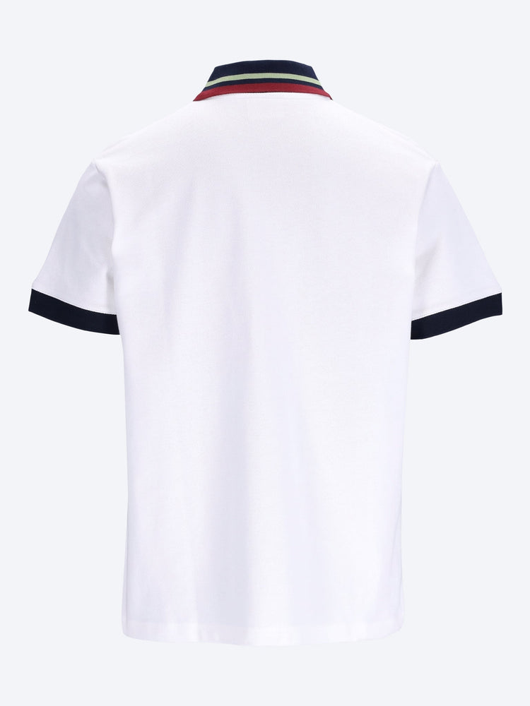 D mirror polo 2