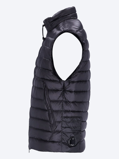 D.d. shell lens down vest