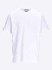 Dior oblique relaxed fit t-shirt ref: