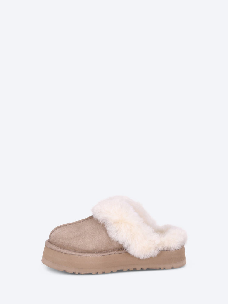 Slippers de disquette 4