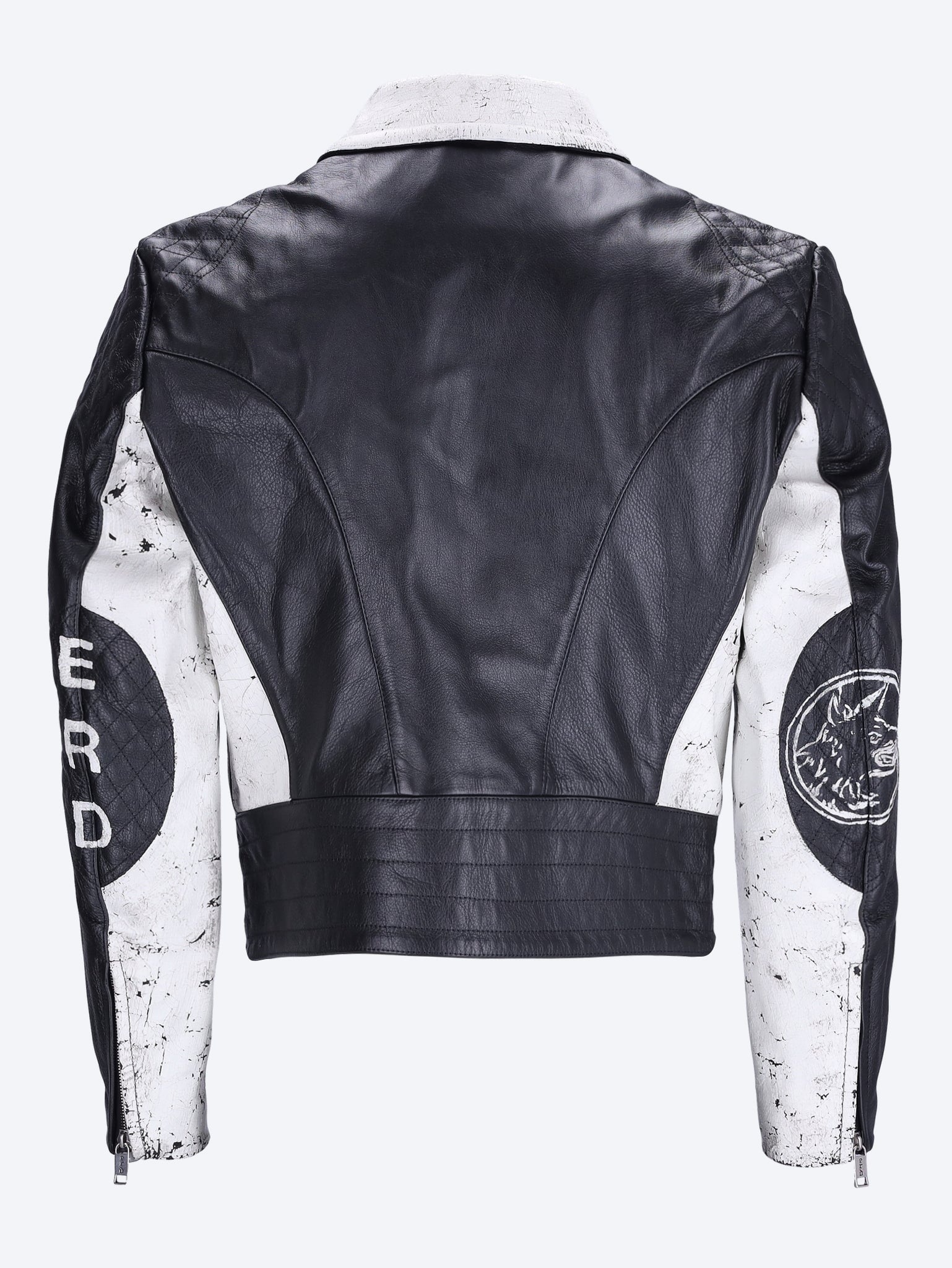 Chien en veste de cuir de retenue 3