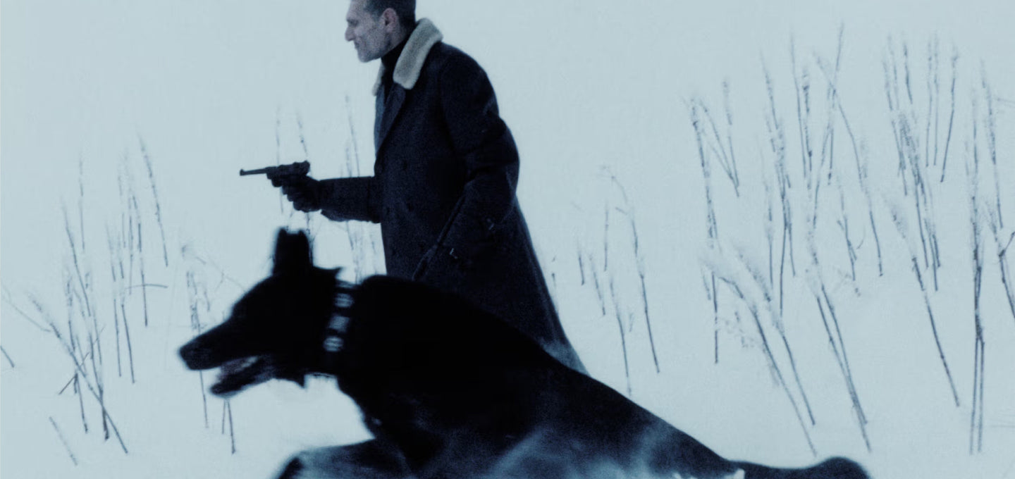 slide image collection list homepage