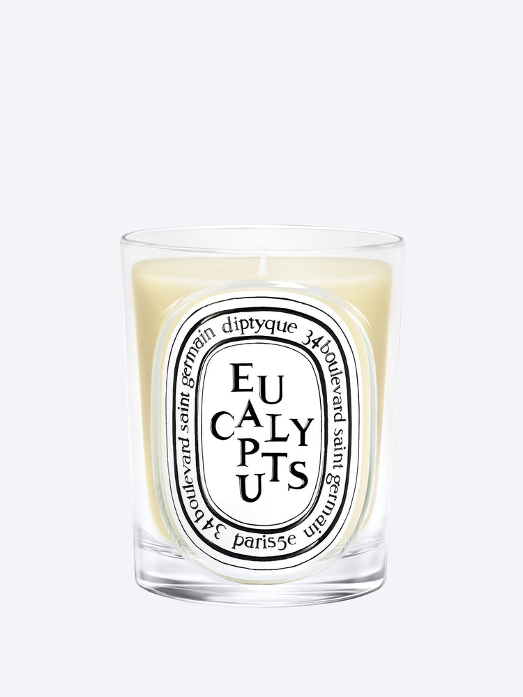 Eucalyptus candle 190g 1