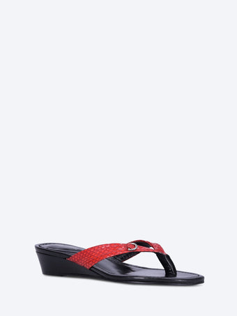 Felipa slides