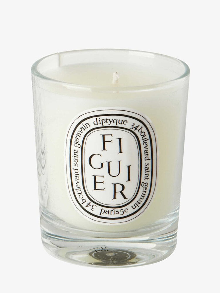 Figuier mini candle 70g 1