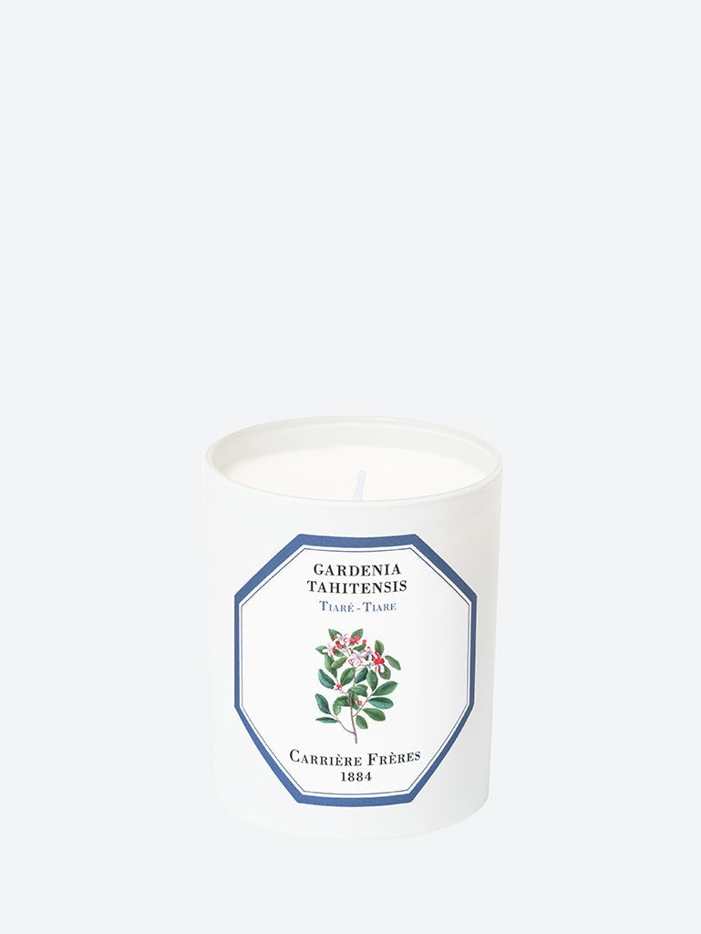 Gardenia tahitensis tiare candle 1
