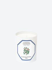 Gardenia tahitensis tiare candle ref: