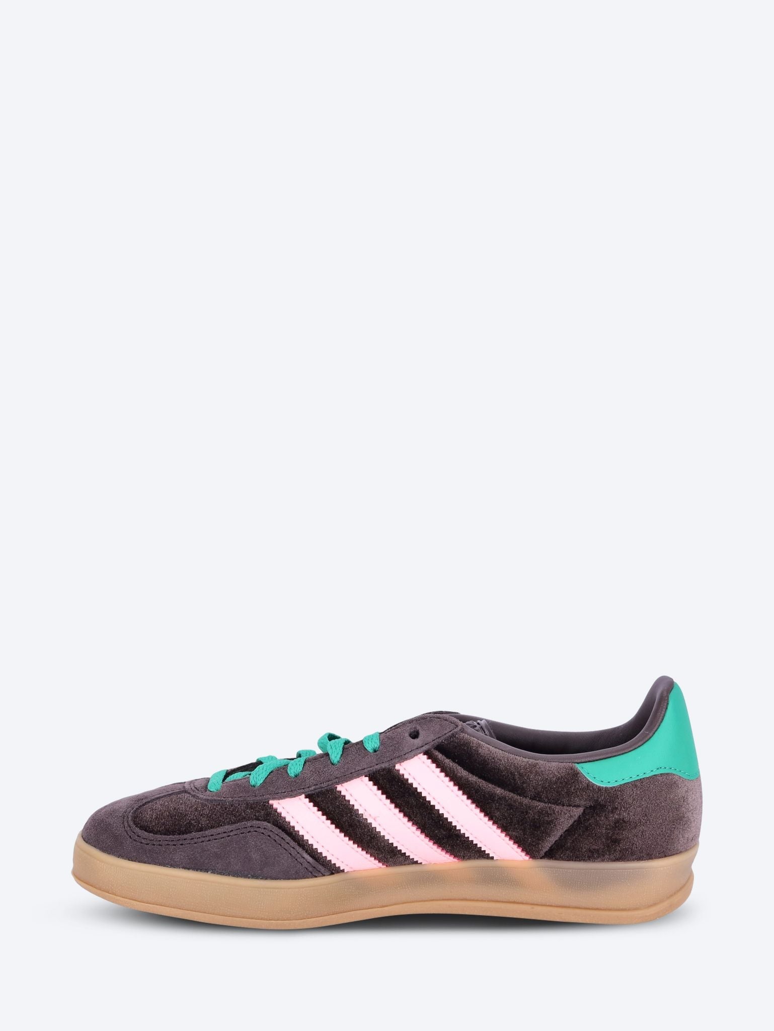 Gazelle indoor w 4