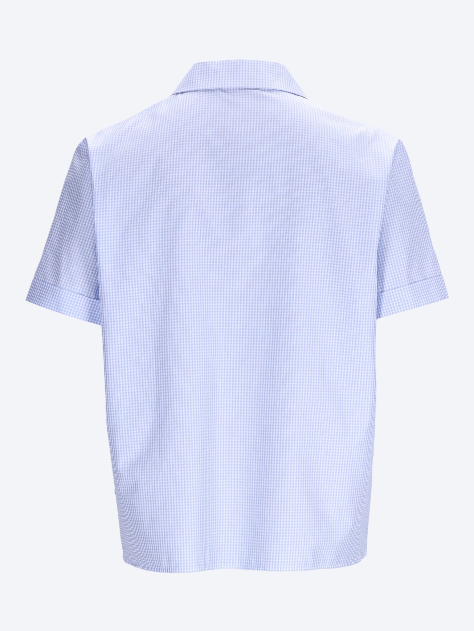 Gingham-Karohemd 2