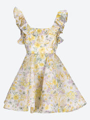 Harmony frilled mini dress ref: