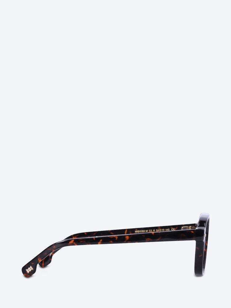 Higgins sunglasses 4