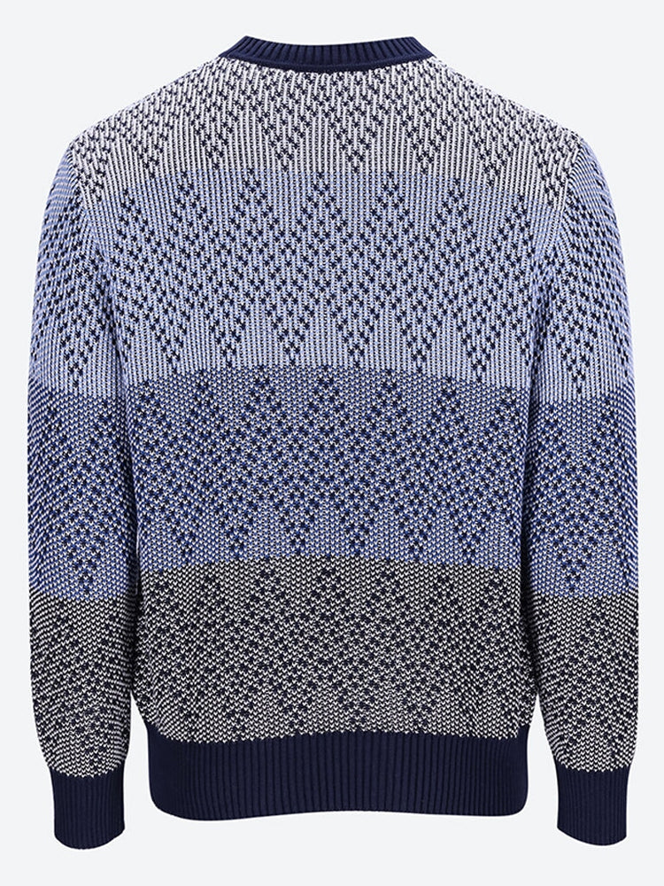 Icons crewneck sweater 3