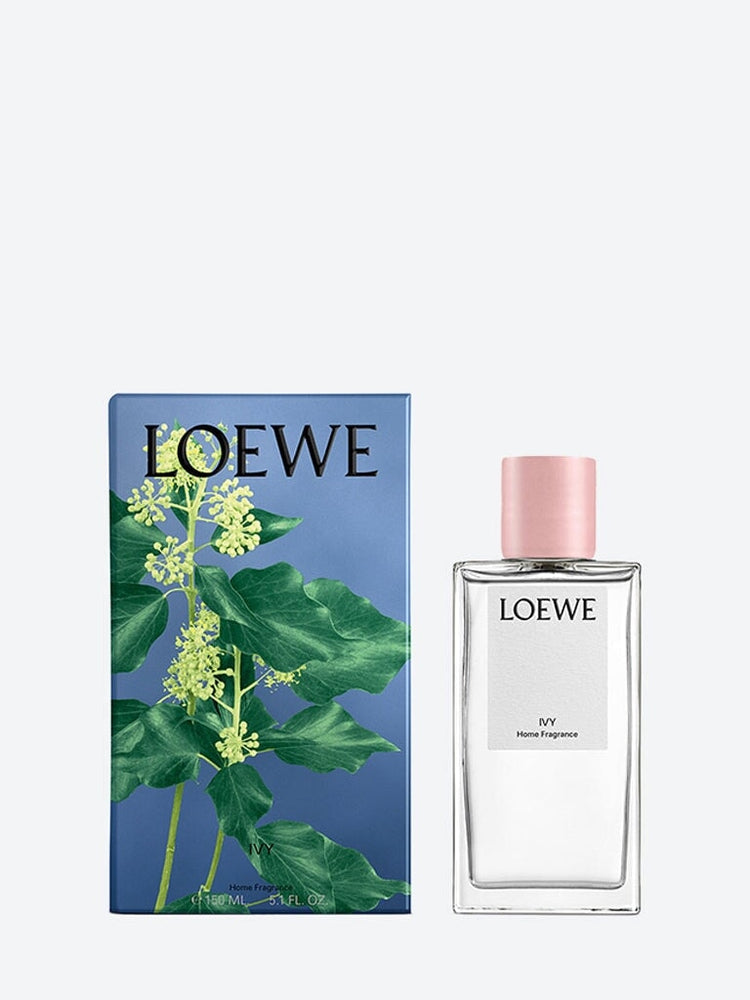 Ivy home spray 2