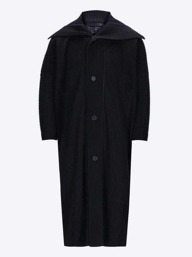 January coat 1