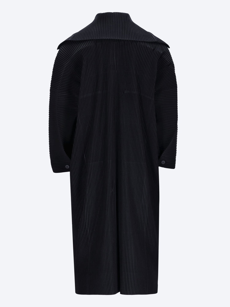 January coat 3